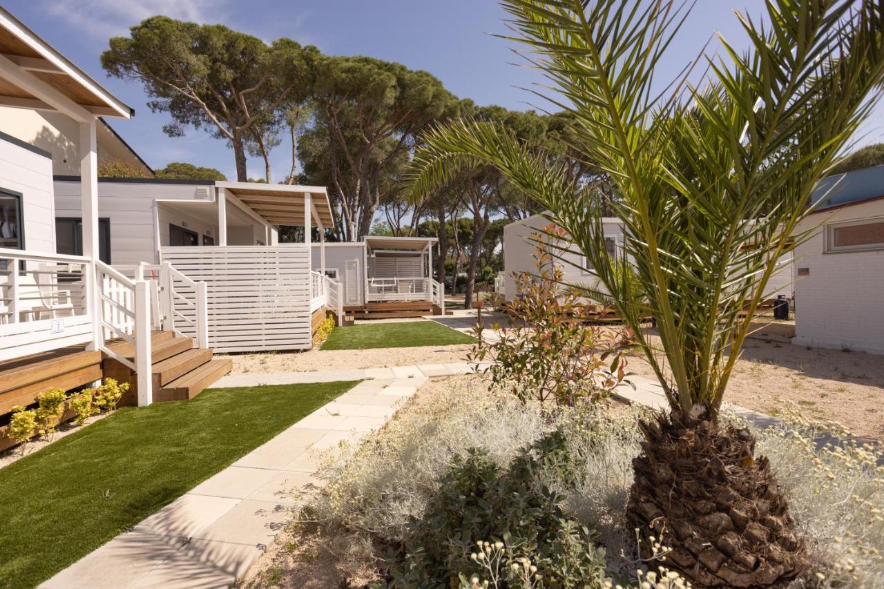 Anxur Village Camping Terracina Dış mekan fotoğraf