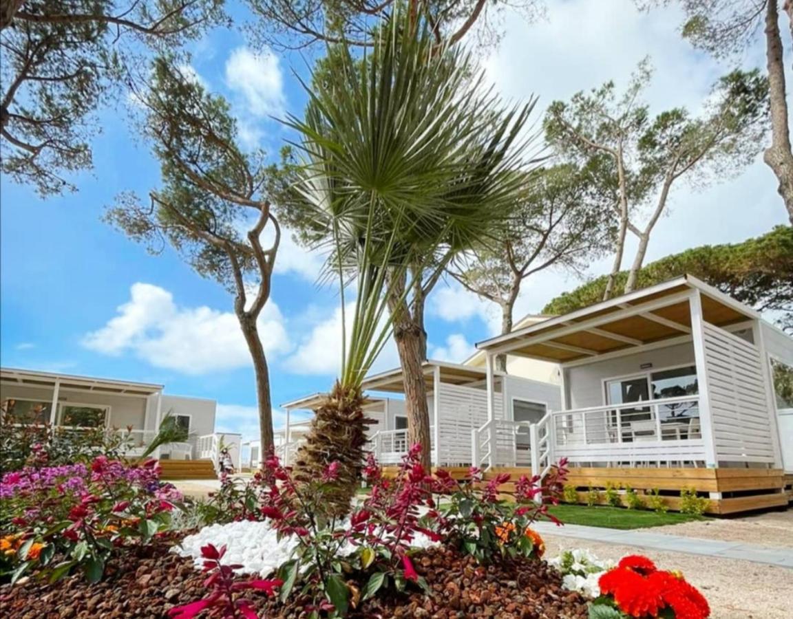 Anxur Village Camping Terracina Dış mekan fotoğraf